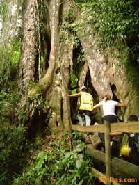 caverna-ouro-grosso-nucleo-ouro-preto-petar caverna-ouro-grosso-nucleo-ouro-preto-petar