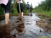 Inicio da trilha da Cachoeira da Fumaça em Paranapiacaba - SP Inicio da trilha da Cachoeira da Fumaça em Paranapiacaba - SP