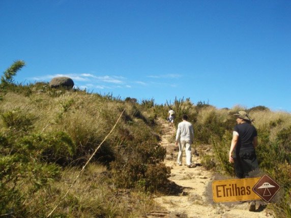 Na trilha para o Morro do Couto - Parque Nacional do Itatiaia Na trilha para o Morro do Couto - Parque Nacional do Itatiaia