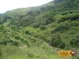 campo-verde-na-trilha-da-cachoeira-da-conquista-itamonte